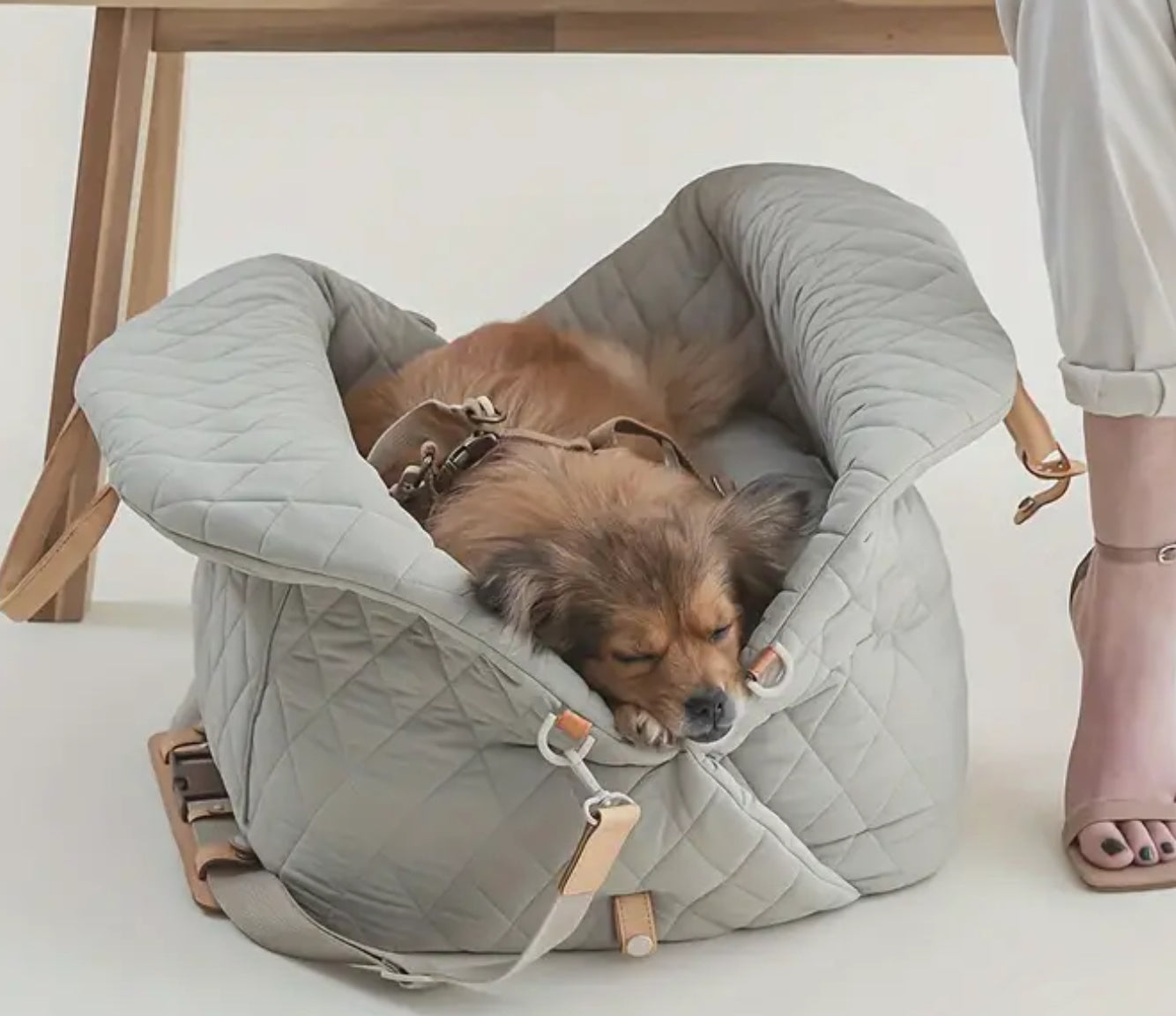 Dog Car Seat, Carrier & Bed