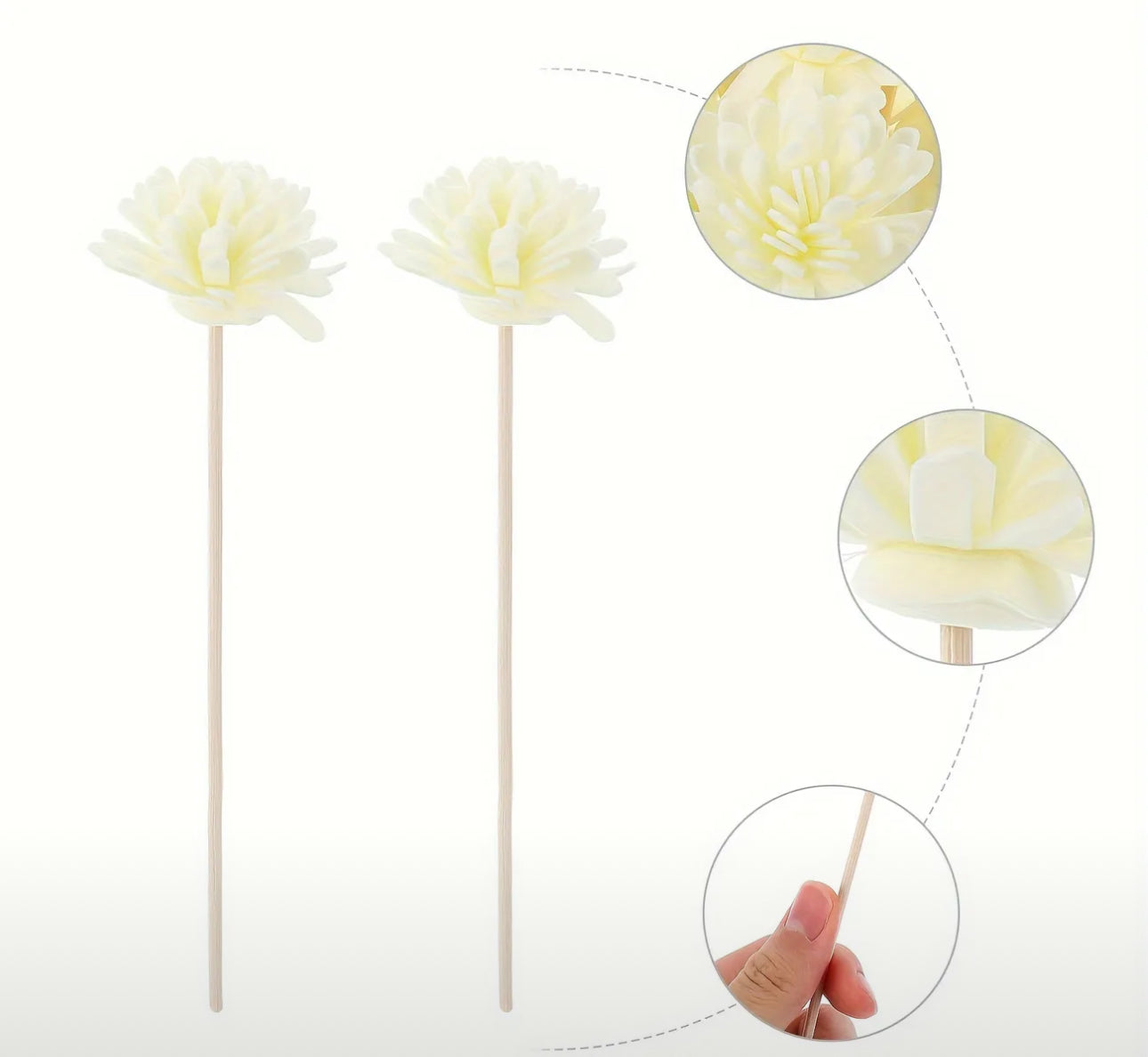 Diffuser Flower Reed (Medium)