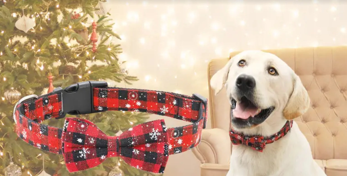 Christmas Bow Tie Collar