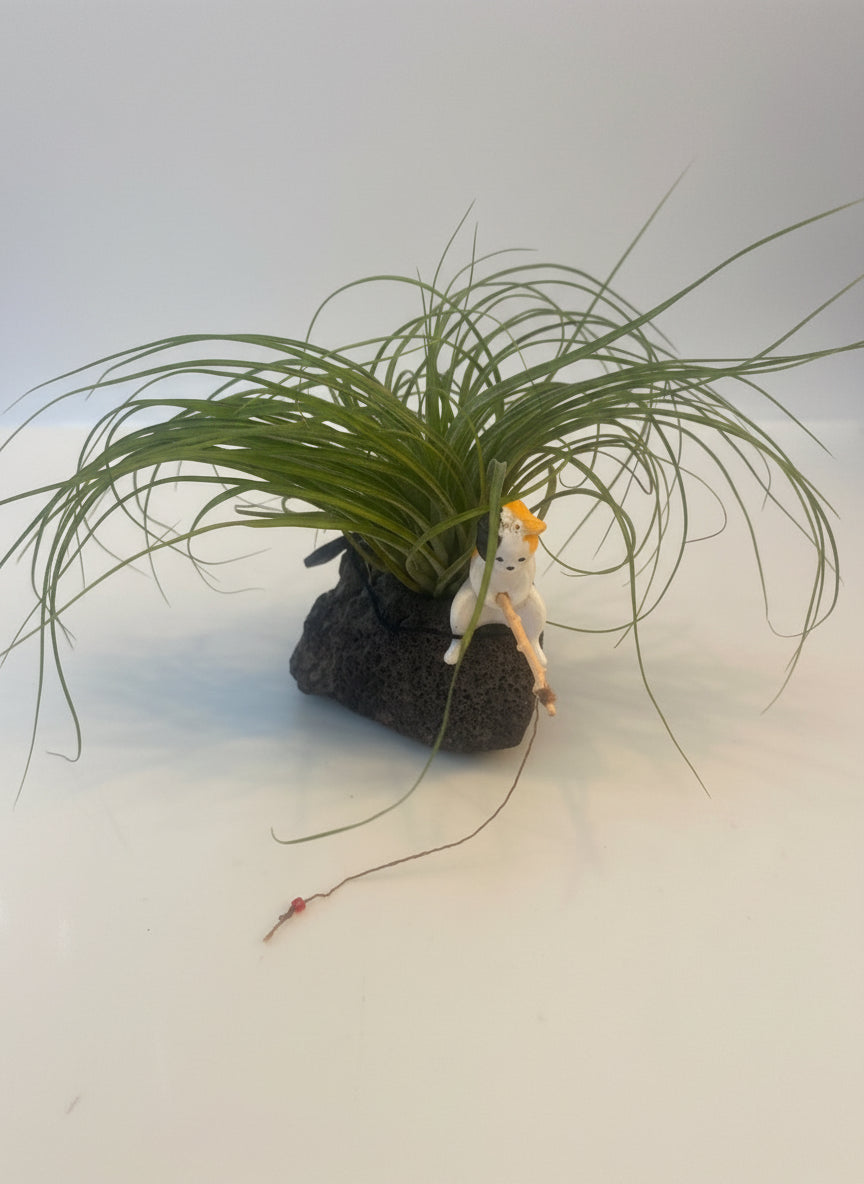Cat Air Plant Aromatherapy Diffuser