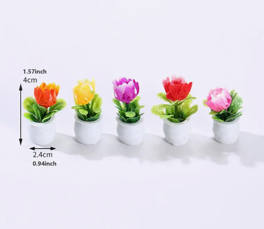 Miniature potted flowers