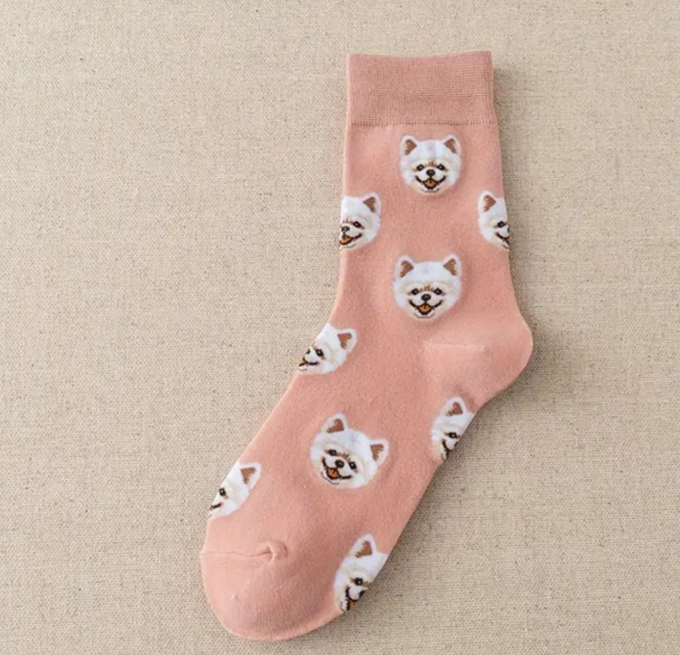 White Pomeranian dog socks