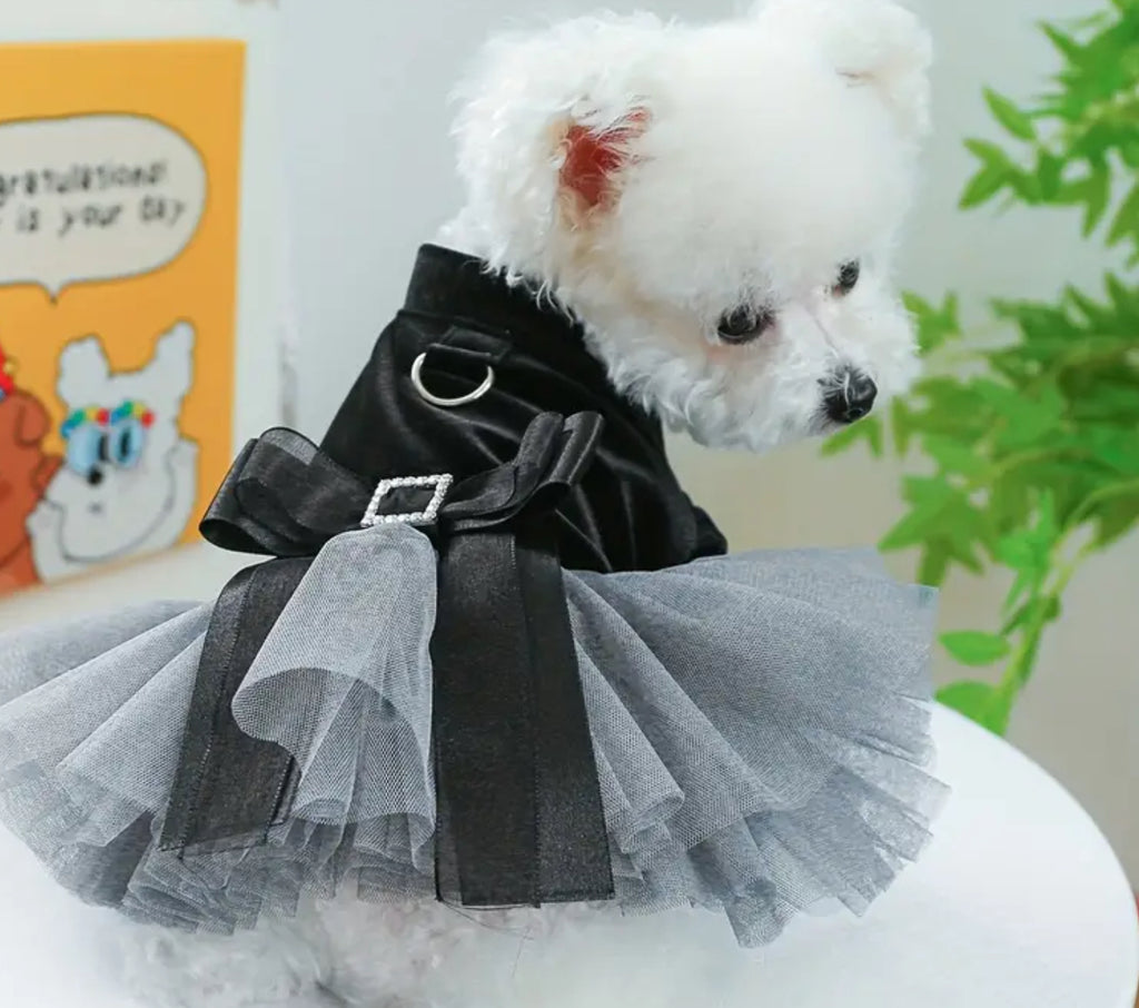 Robe en velours noir