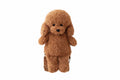 Plush Dog Backpack