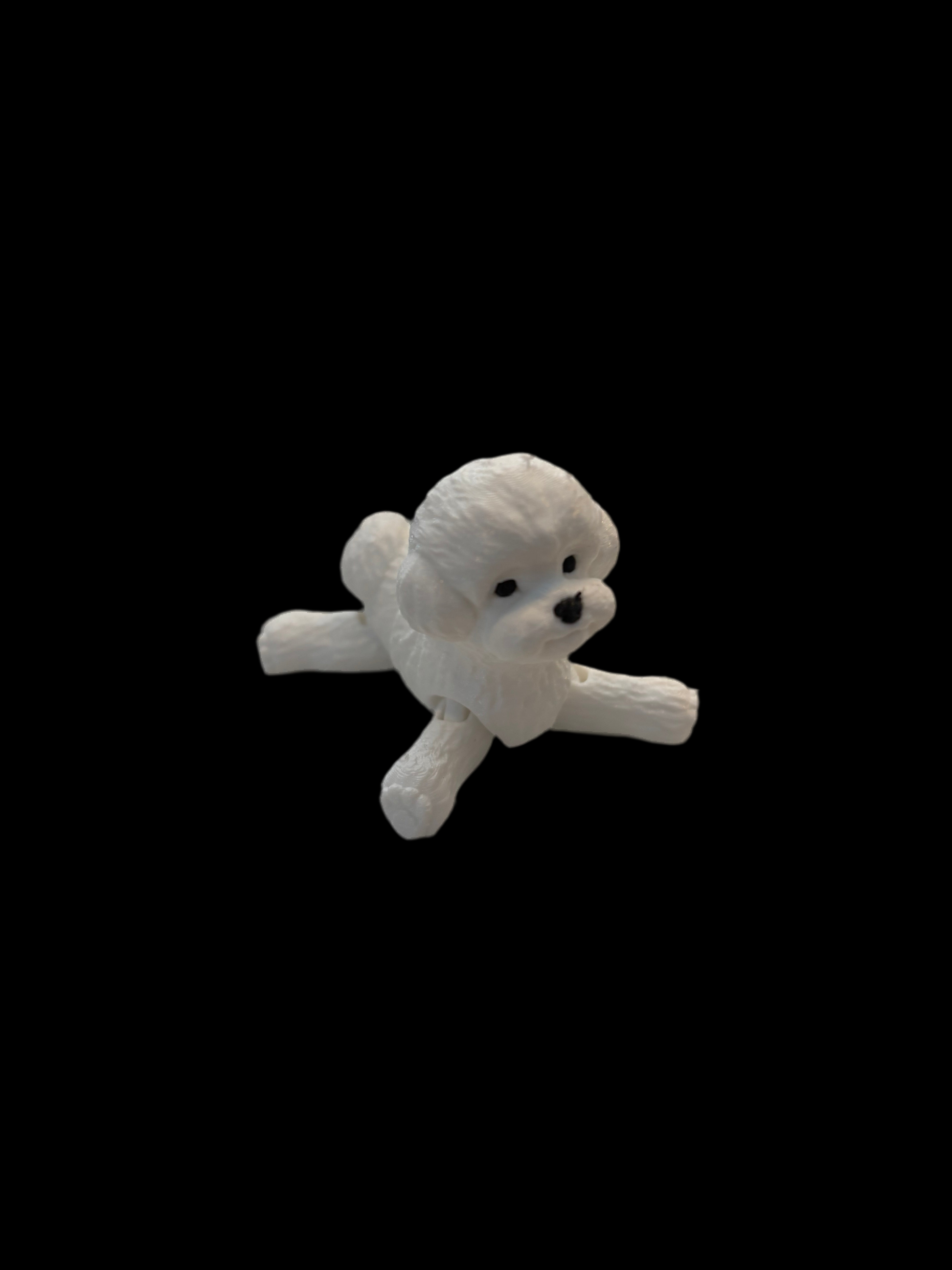 Poodle fidget toy