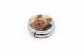 Dog Pill Box