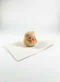 Furry Bear Pop-Up Birthday Card