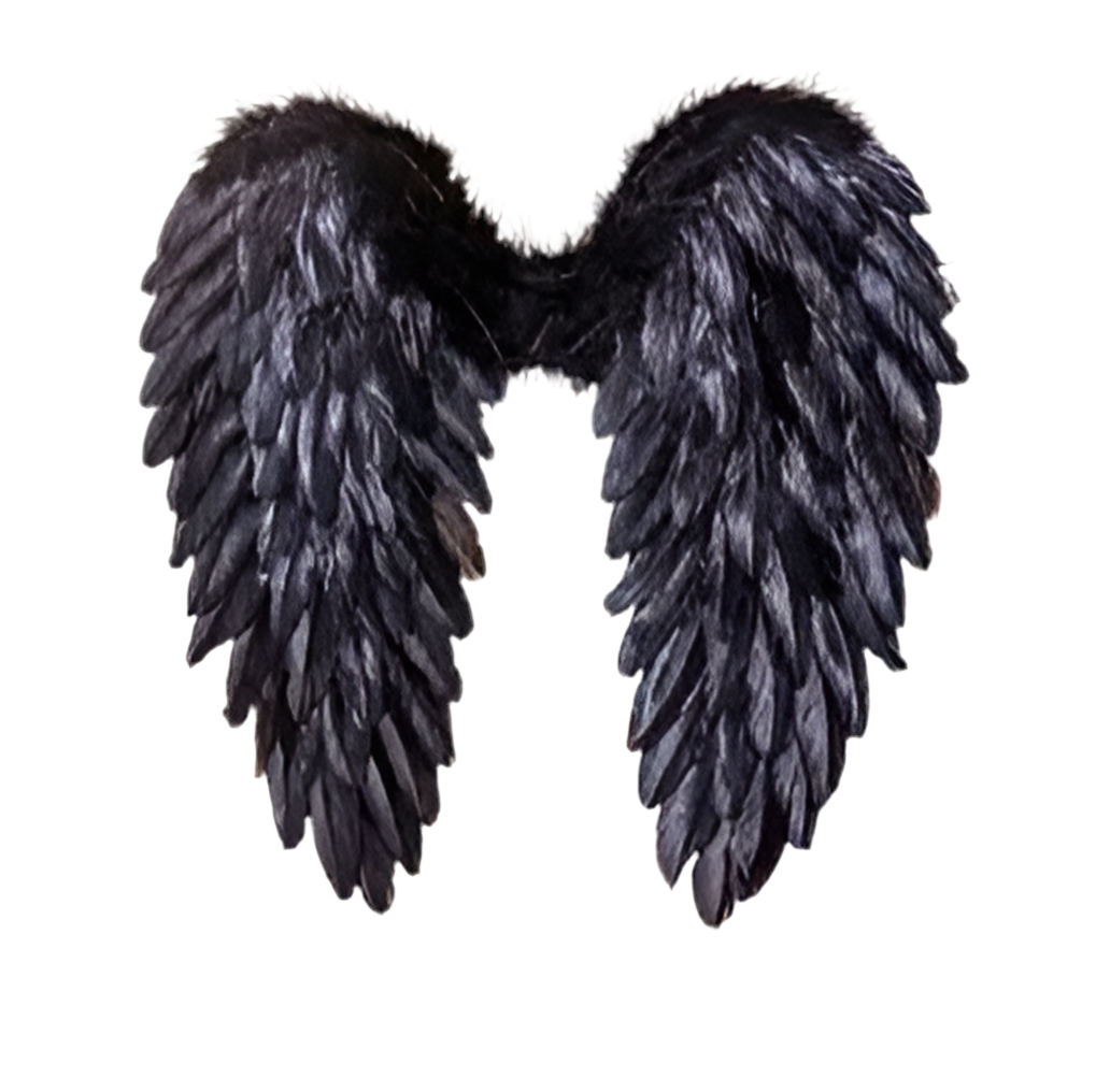 Black Feather Wings