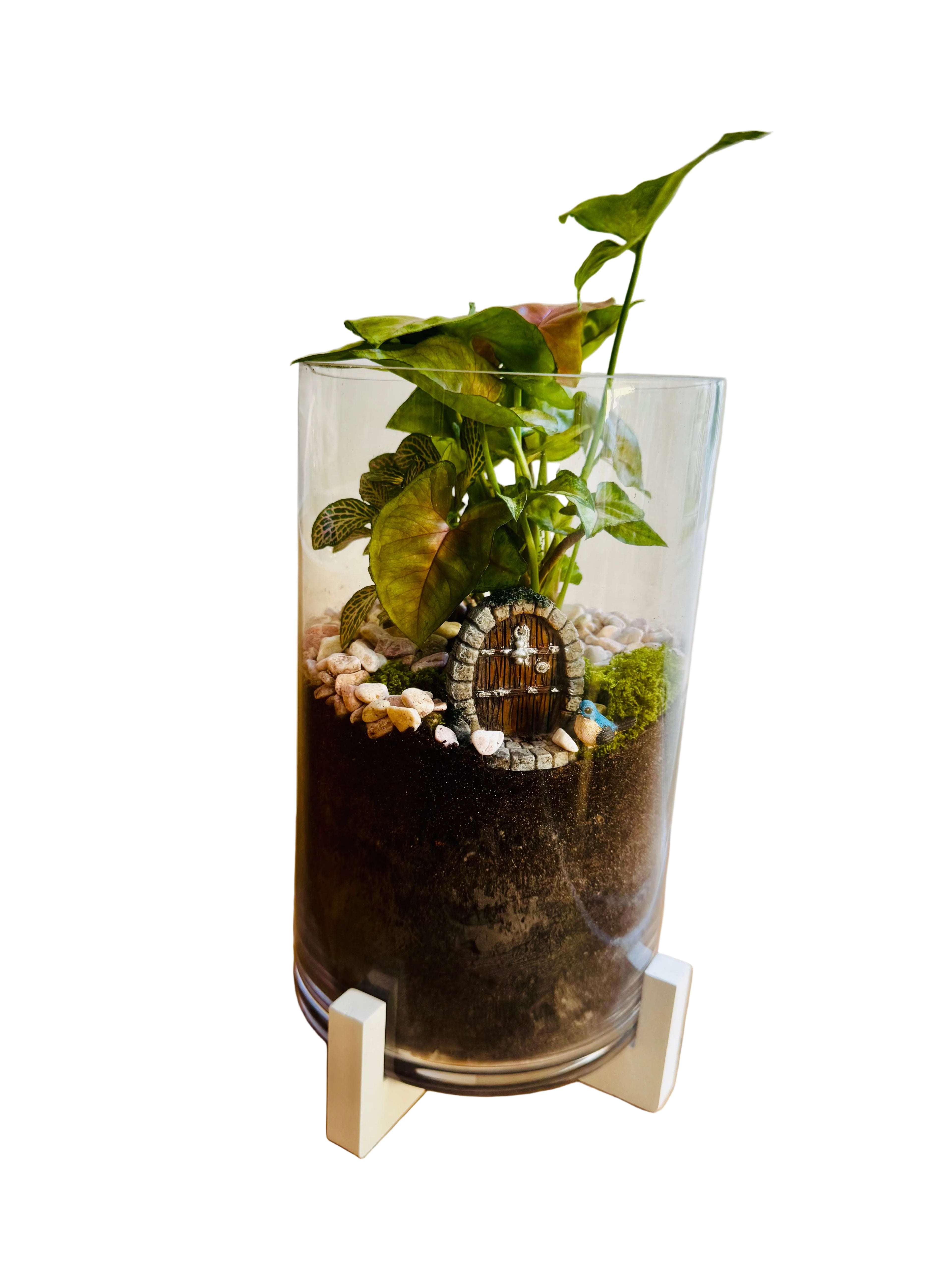 Terrarium with Magical Door