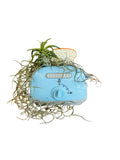 Toaster Air Plant (Interactive!)
