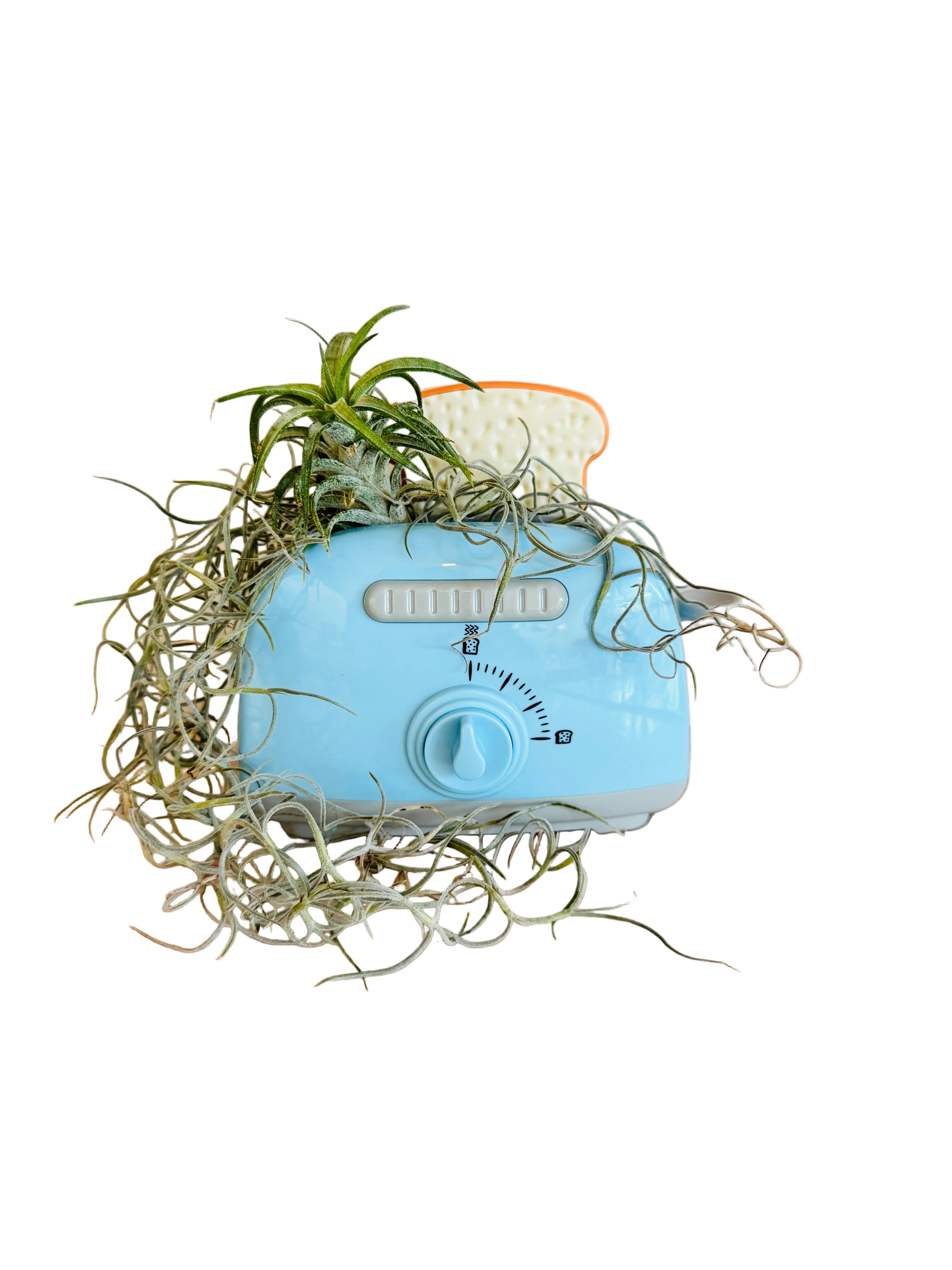 Toaster Air Plant (Interactive!)