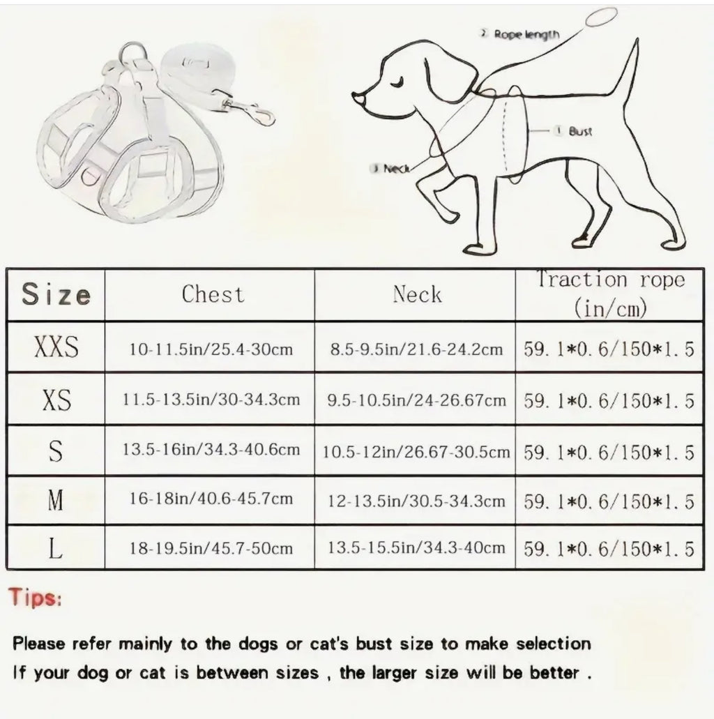 Ensemble harnais et laisse pour chien dinosaure (bleu)
