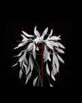 Barrette à cheveux en plumes blanches