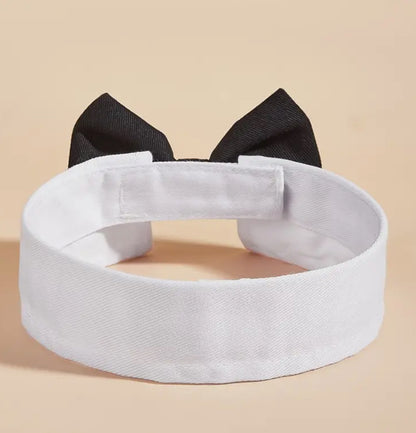 Pet Bow Tie Collar