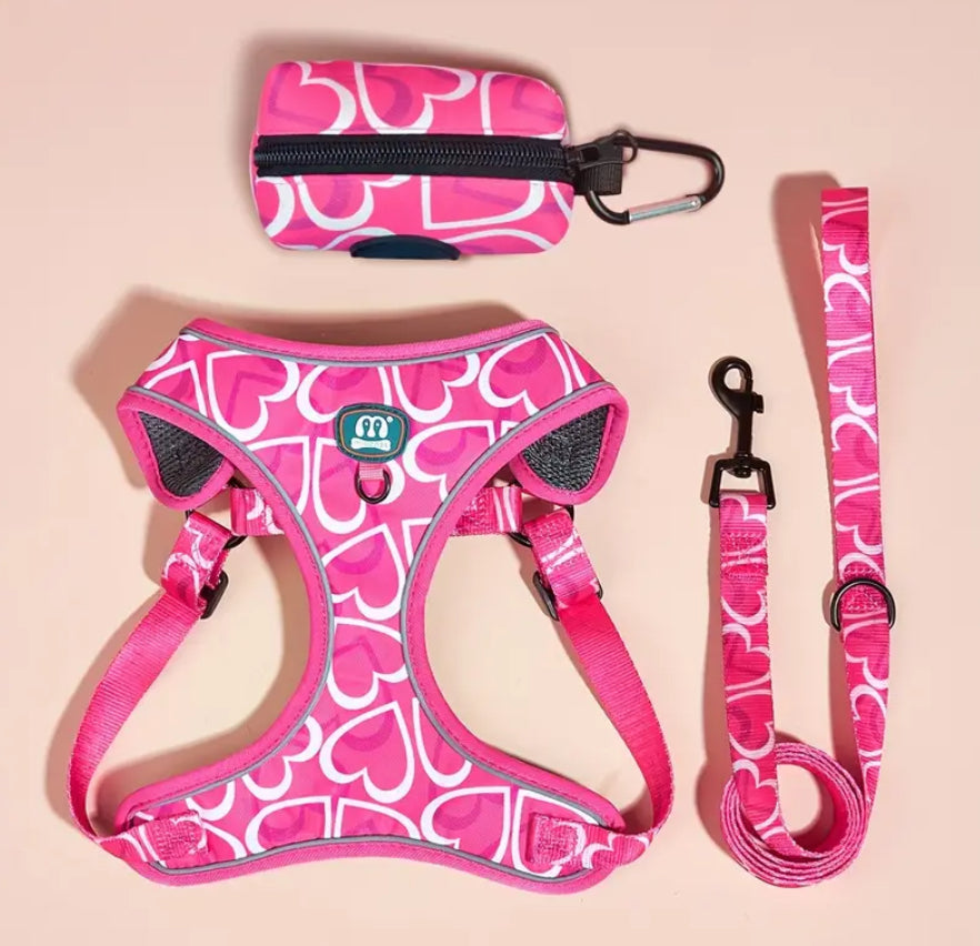 Ensemble de harnais 3 pièces avec cœurs