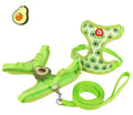 Ensemble harnais et laisse pour chien Avocado