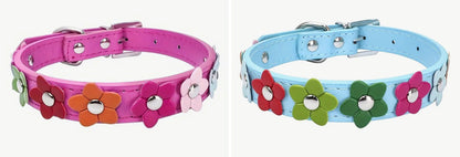 Single row of flowers pet collar