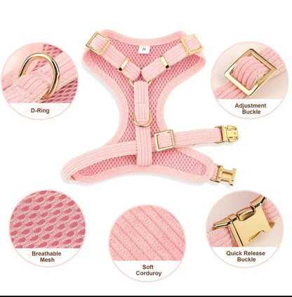 Set: Pink corduroy collar, leash & harness