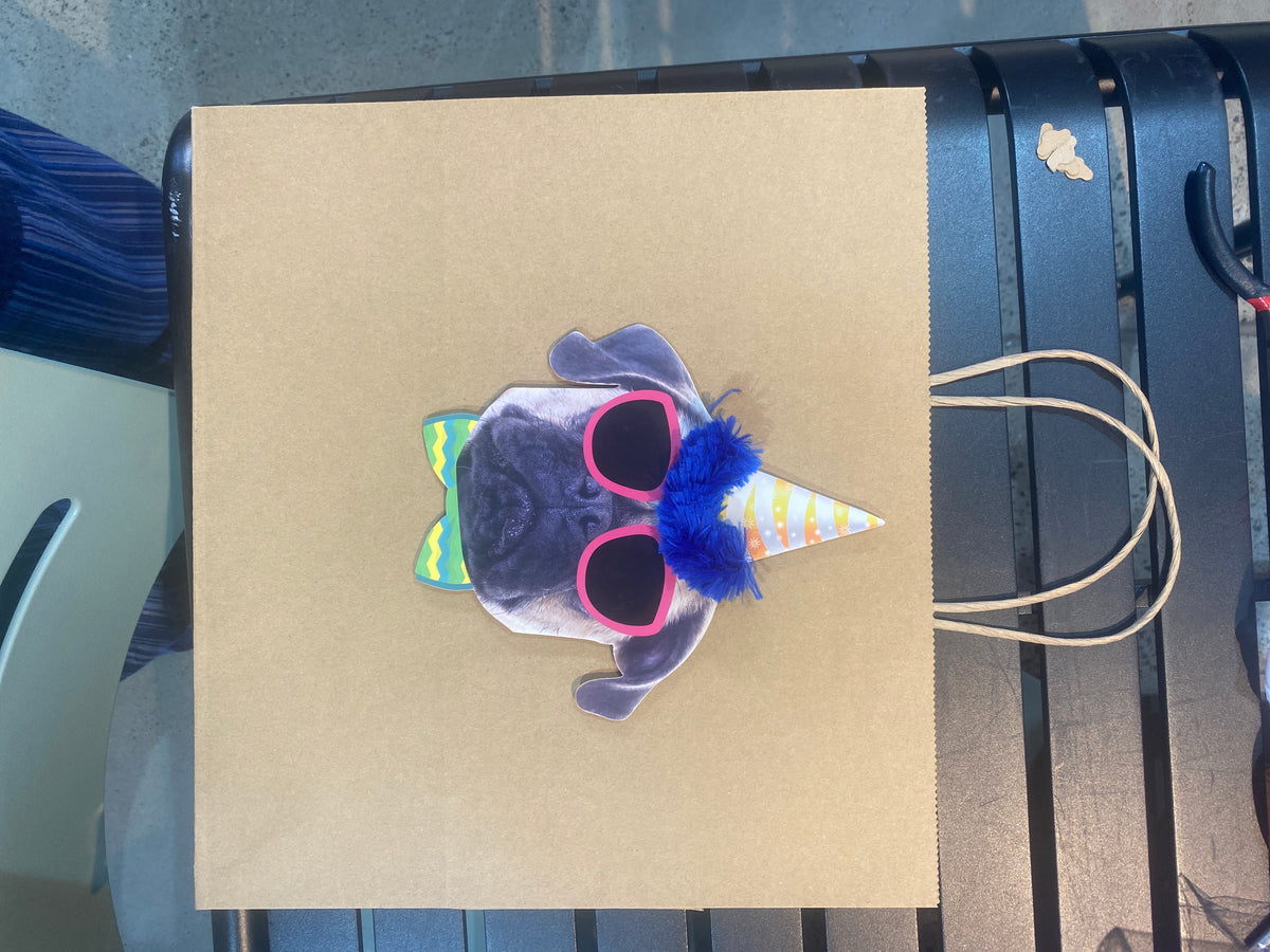 Novelty Gift Bag 35x32cm
