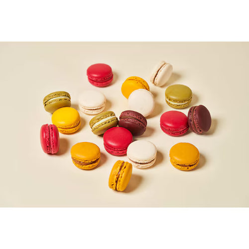 Petit Macarons – 24 Pack | Gluten Free