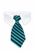 Blue Dog Collar and Tie