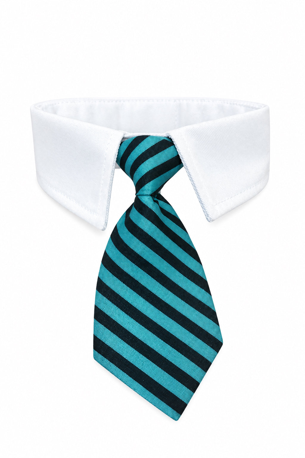 Blue Dog Collar and Tie