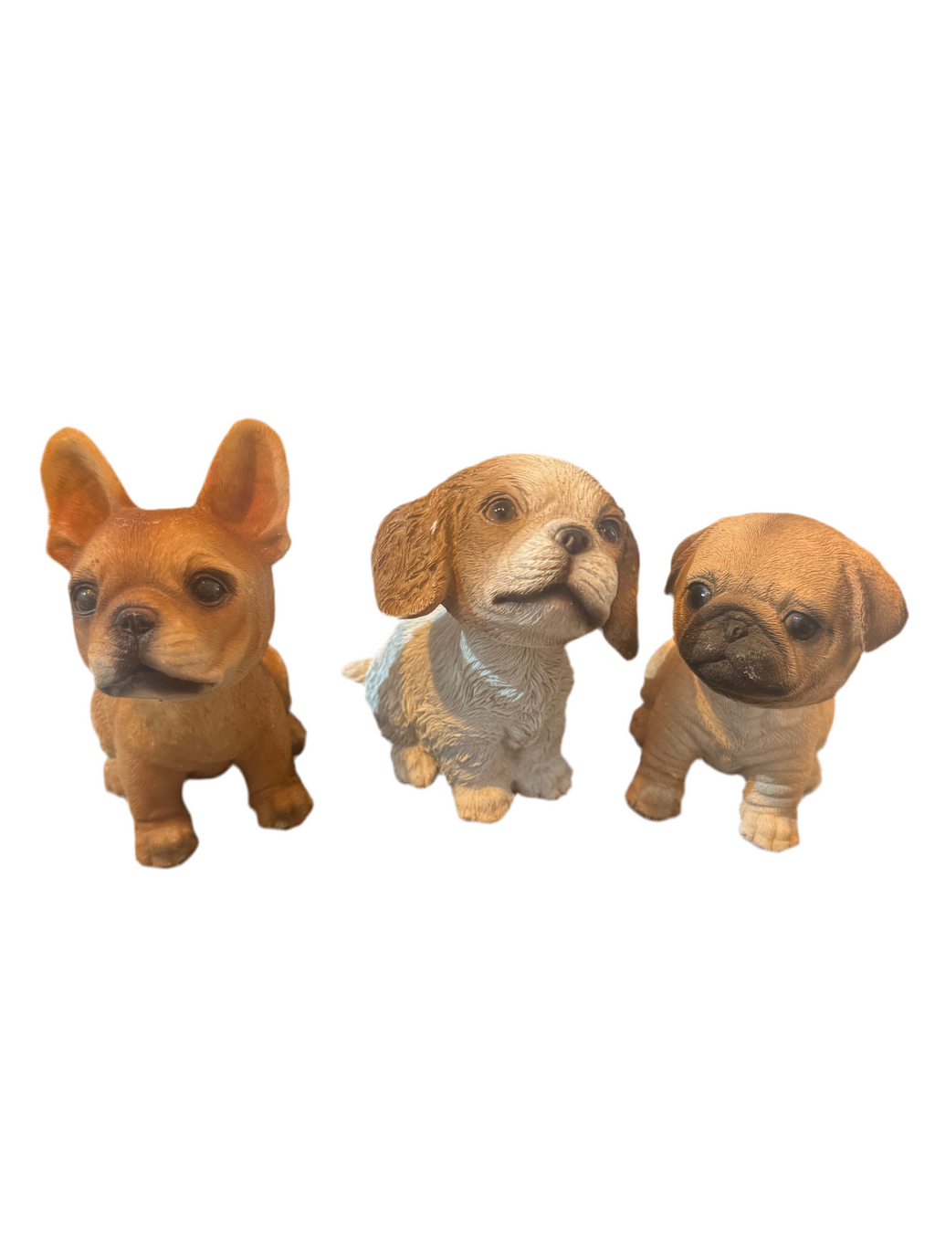 Chiots à tête branlante