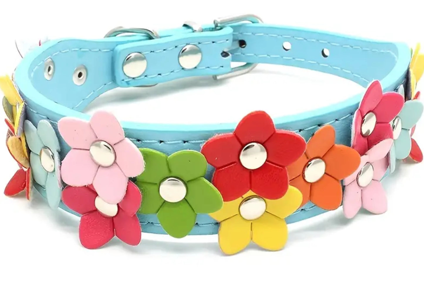 Floral pet collar