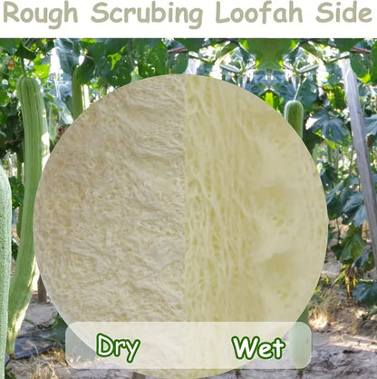 Natural Loofah cleaning pads