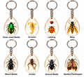 Real Insect Resin Keychain – Choice of 8 Designs