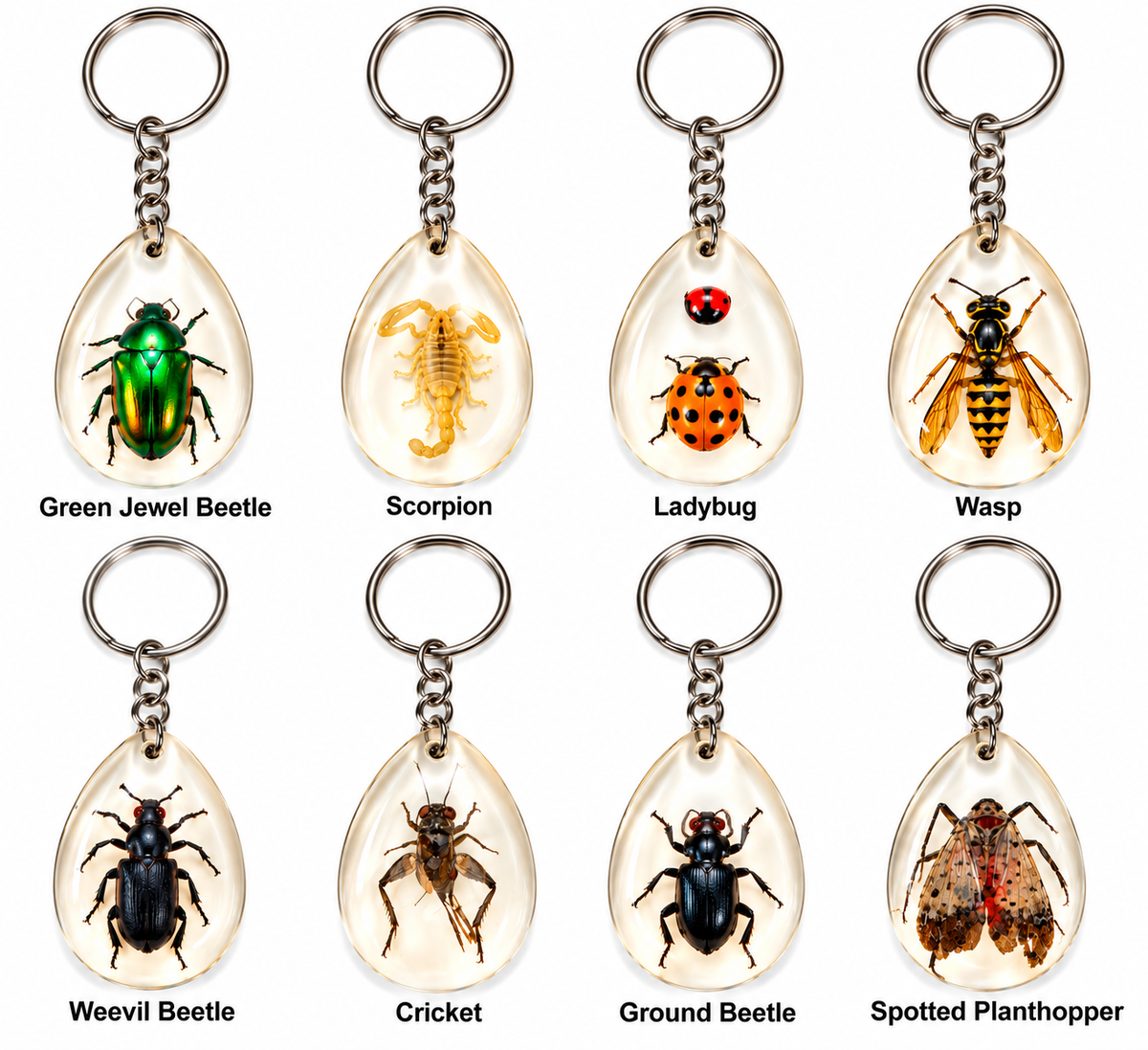 Real Insect Resin Keychain – Choice of 8 Designs
