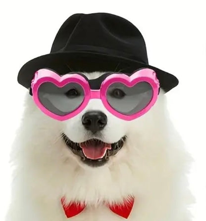 Heart shaped dog sunglasses