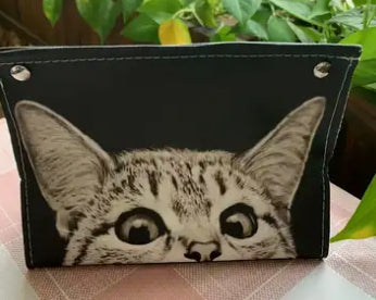 Porte-mouchoirs pour chat (2 choix)