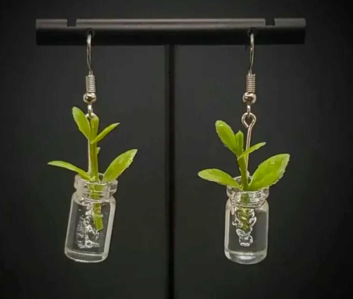 Plant in vase earrings