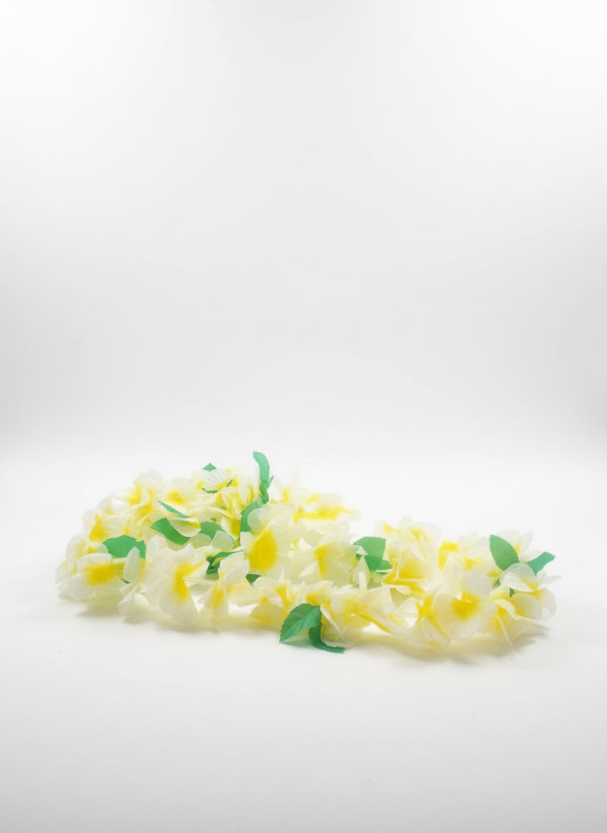 Hawaiian hibiscus lei set