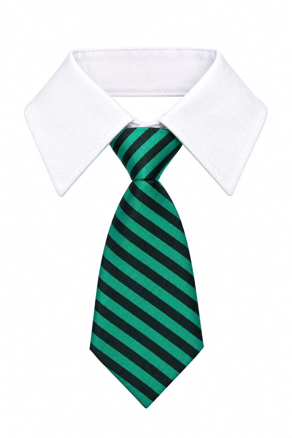 Collar and Tie