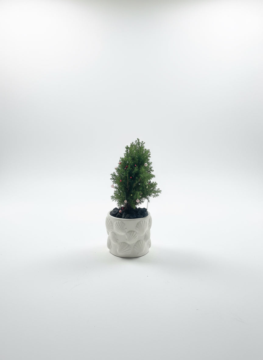 Artisan Pot Plant — Christmas “Mini Tree”