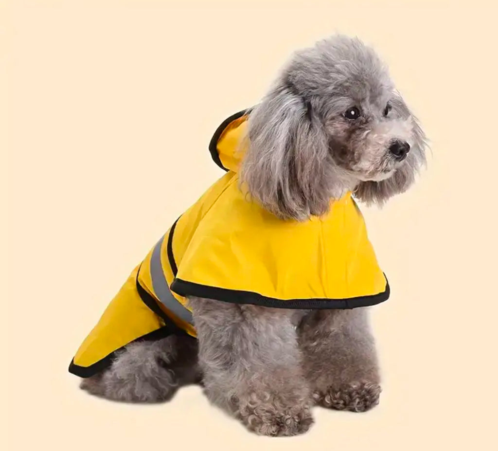 Imperméable Cape pour Chien Jaune