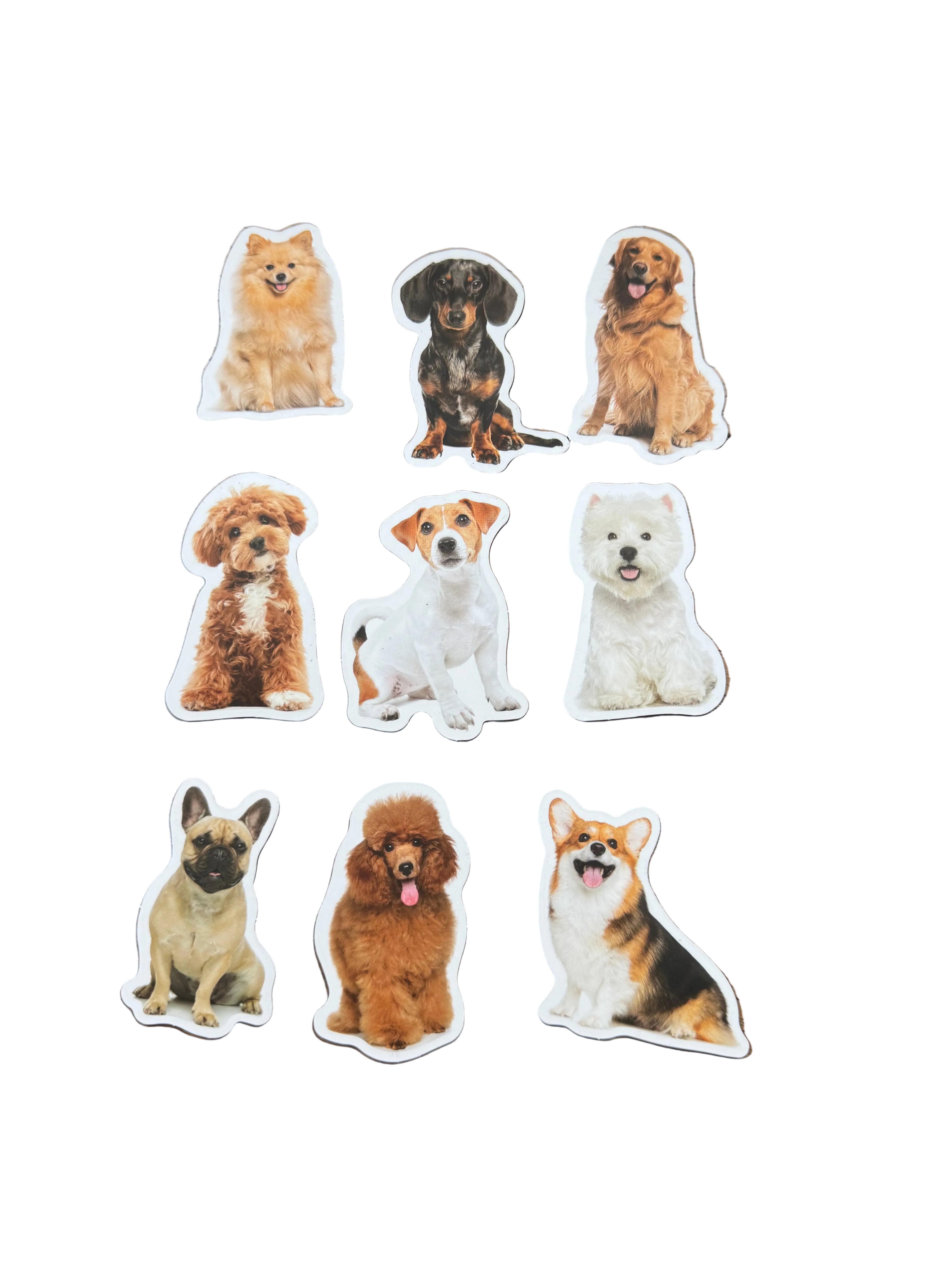 Dog Magnet