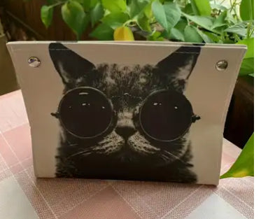 Porte-mouchoirs pour chat (2 choix)