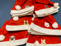 Chapeau de Père Noël pour chien