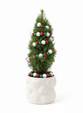 Artisan Pot Plant — Christmas “Mini Tree”