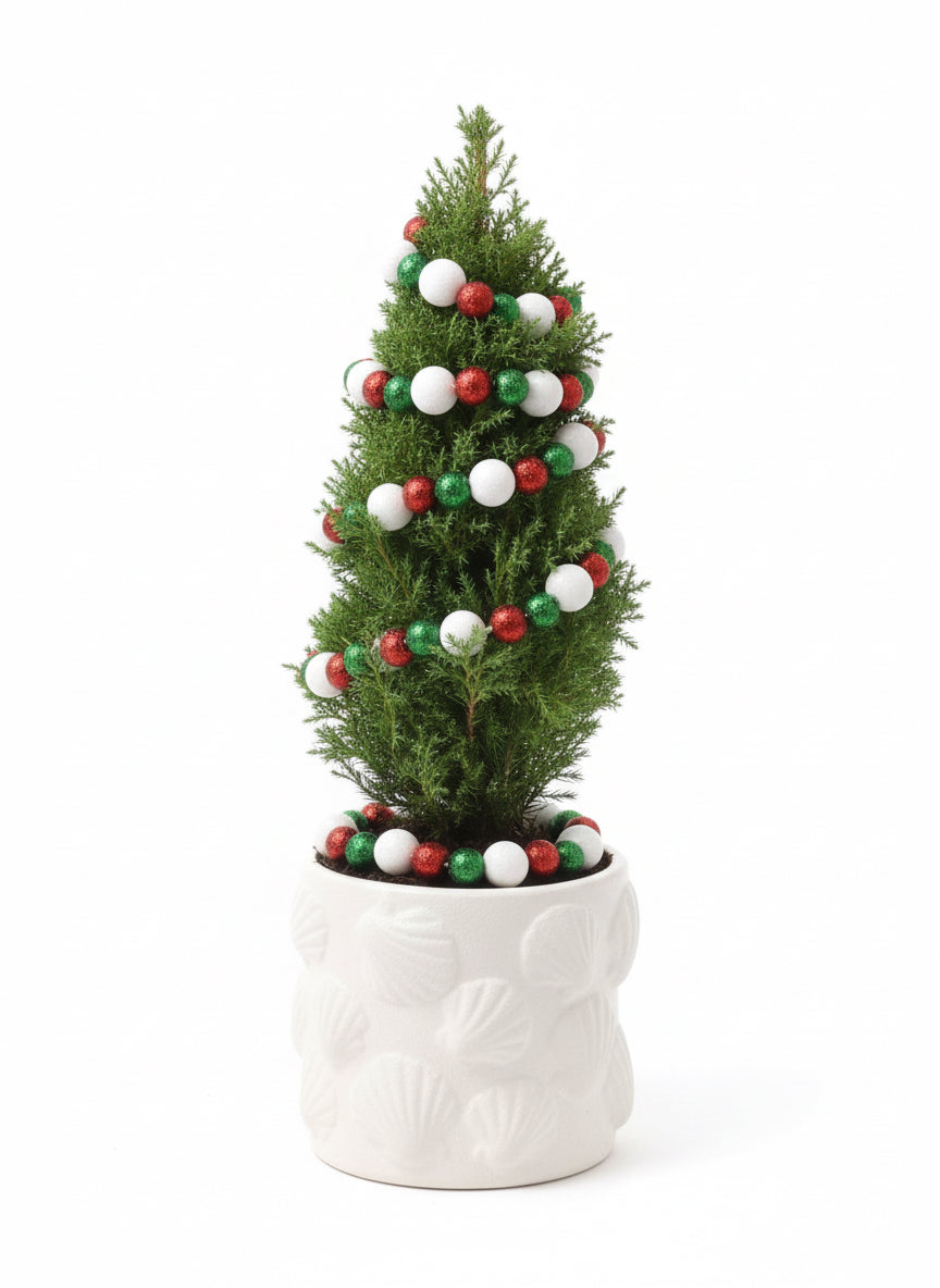 Artisan Pot Plant — Christmas “Mini Tree”