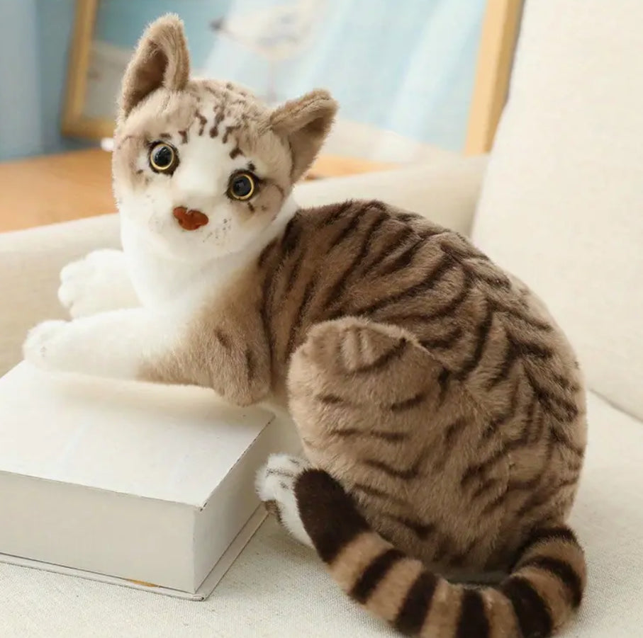 Peluche chat (Siamois ou Tabby)