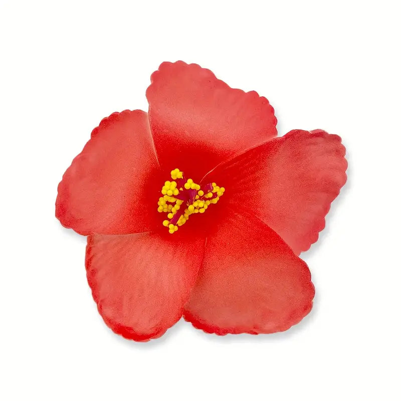 Élégante pince à cheveux hawaïenne style bohème chic