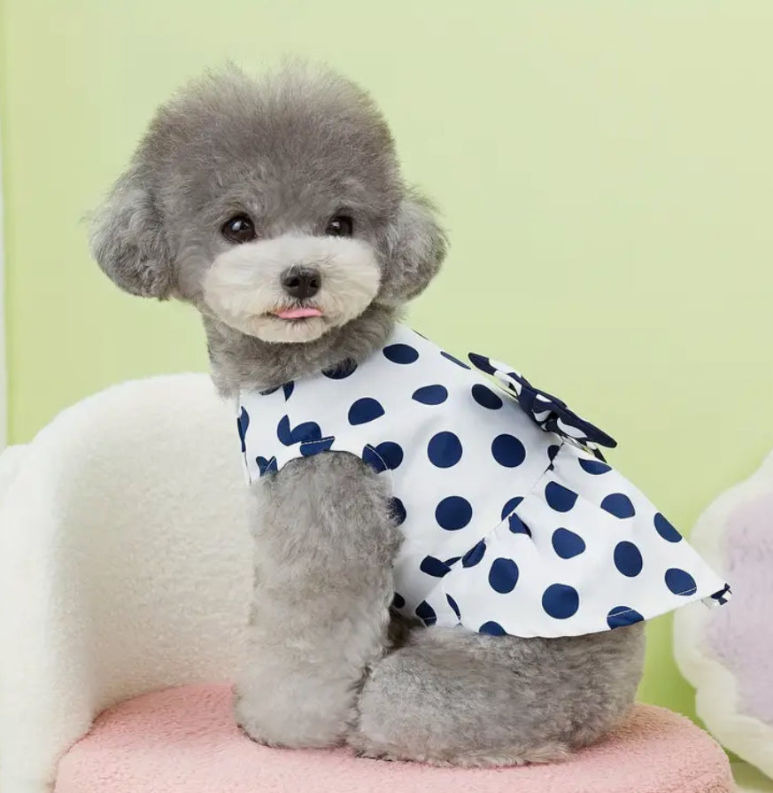 Robe à pois avec anneau de laisse