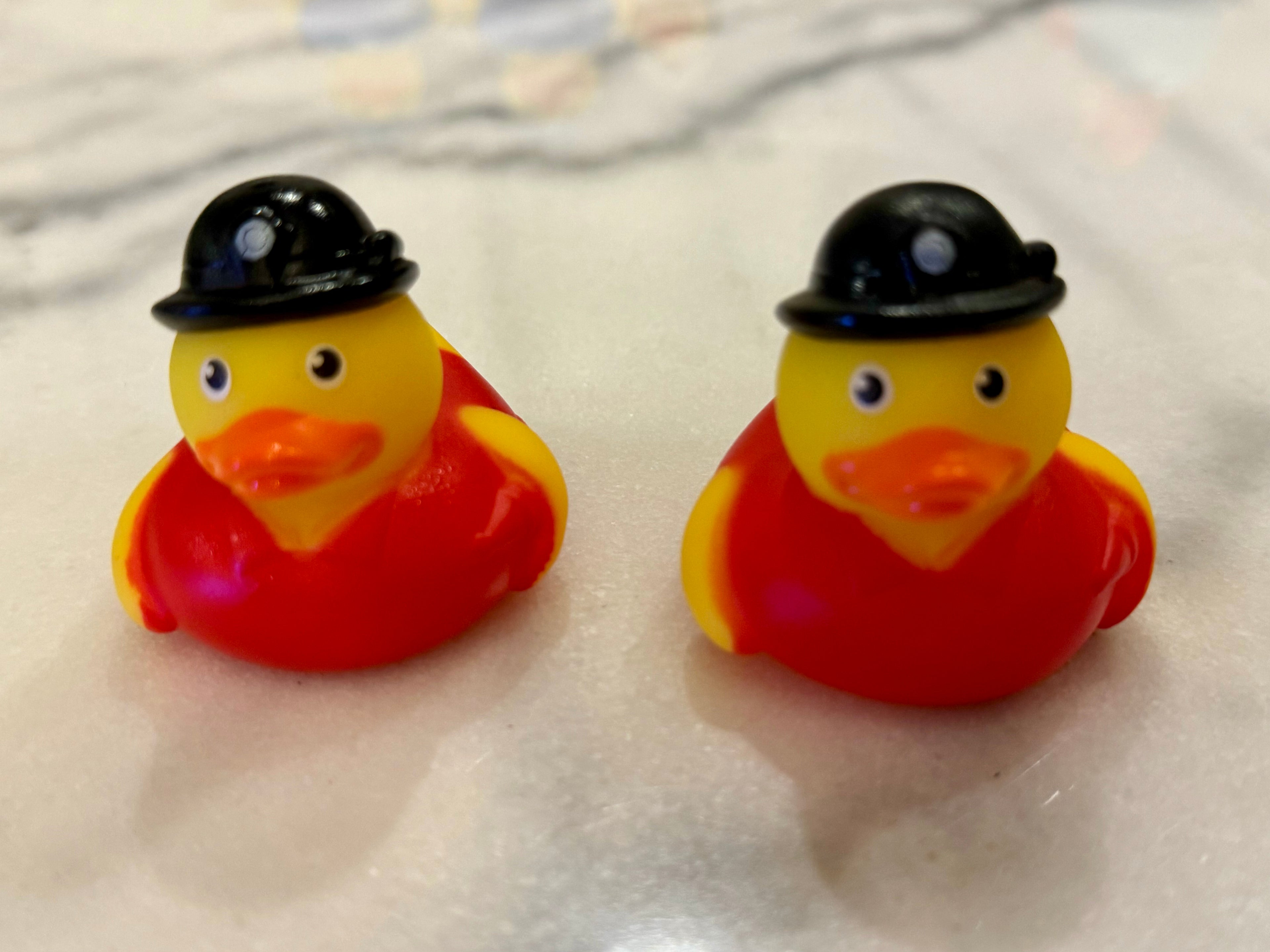Canard en caoutchouc (Garde)