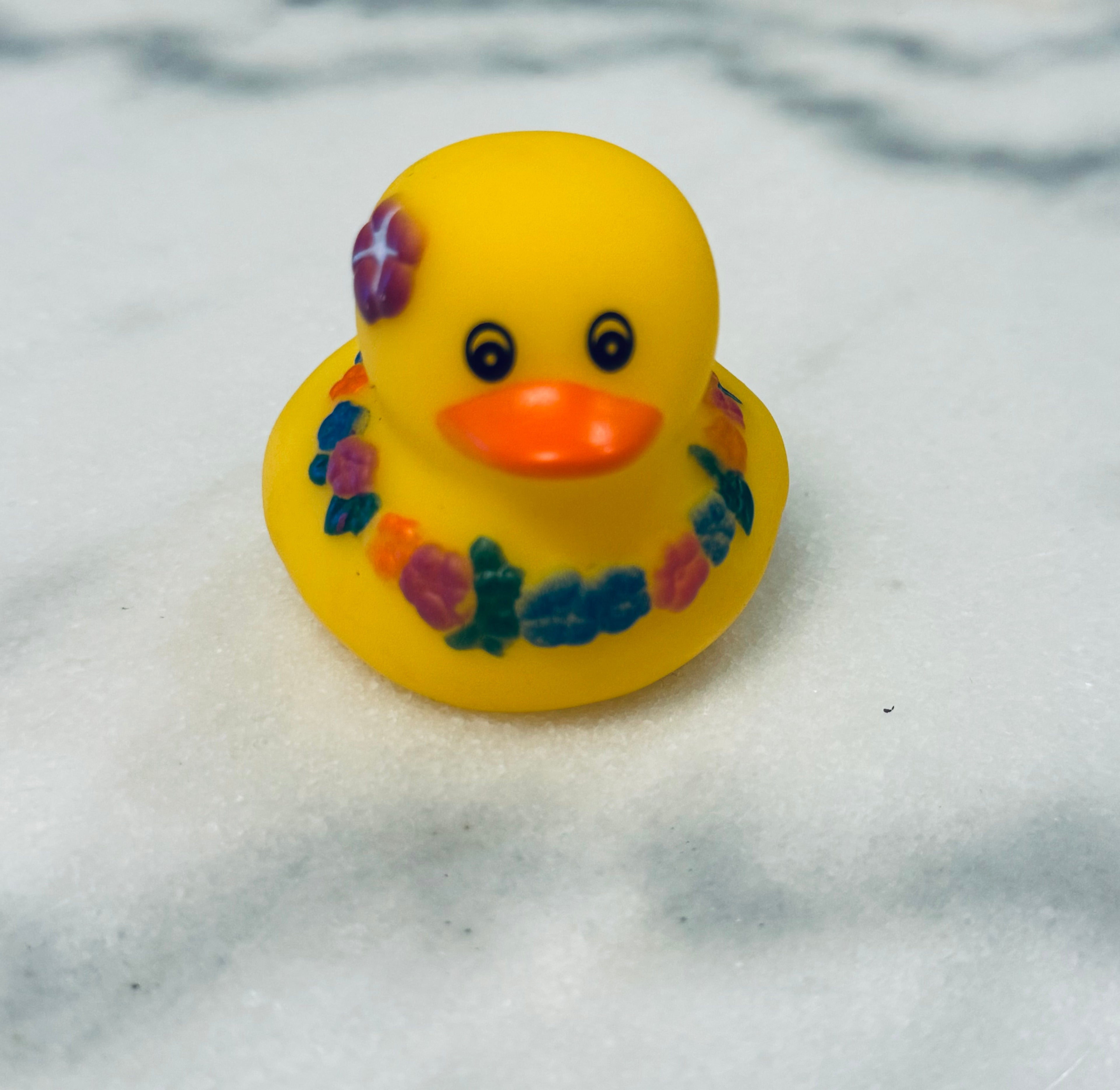 Canard en caoutchouc (tropical)