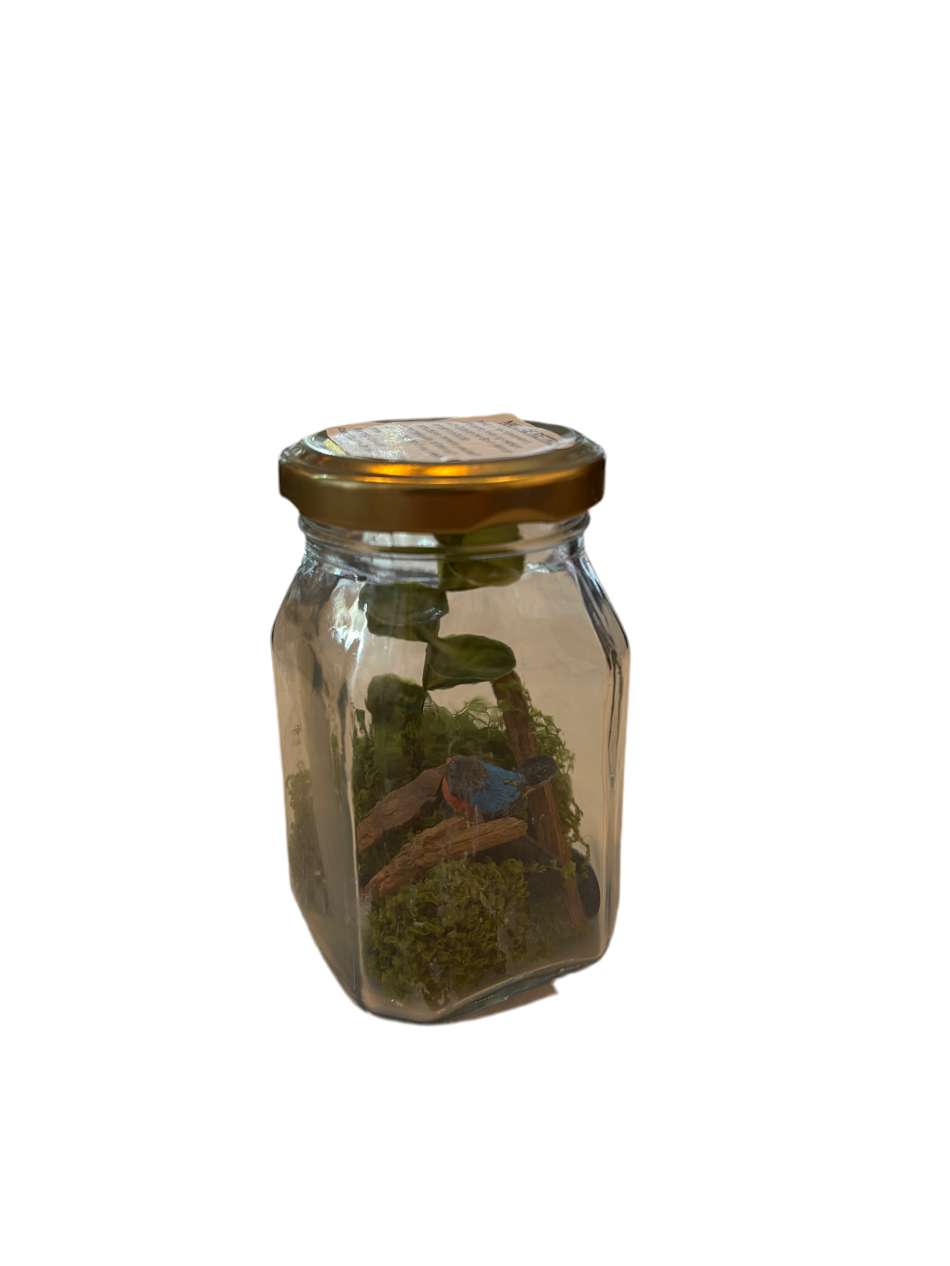 Retraite nature en bouteille