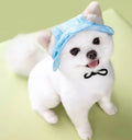 Chapeau bleu pour animaux de compagnie